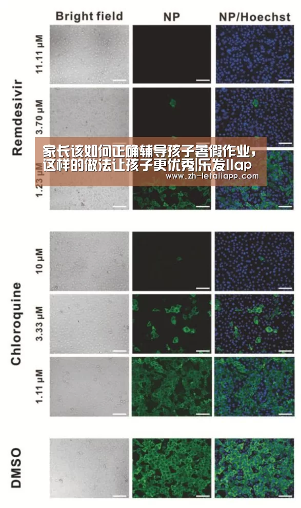 家长该如何正确辅导孩子暑假作业,这样的做法让孩子更优秀|乐发IIapp(图1) 乐发IIapp