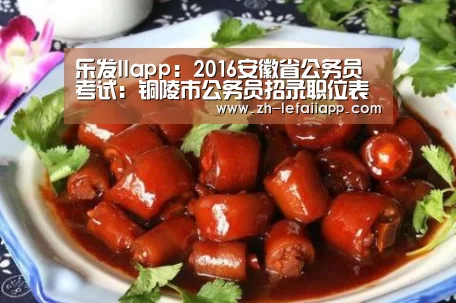 乐发IIapp:2016安徽省公务员考试:铜陵市公务员招录职位表(图2) 乐发IIapp