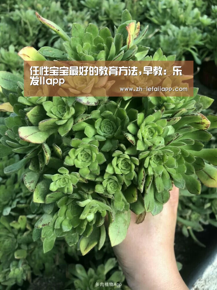 任性宝宝最好的教育方法,早教:乐发IIapp(图2) 乐发IIapp