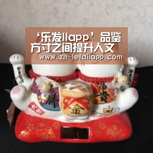 ‘乐发IIapp’品鉴方寸之间提升人文素养实小青华举行教师暑期培训会(图2) 乐发IIapp