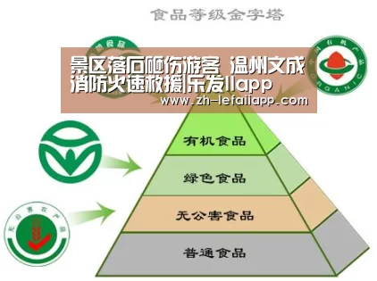 景区落石砸伤游客 温州文成消防火速救援|乐发IIapp(图2) 乐发IIapp