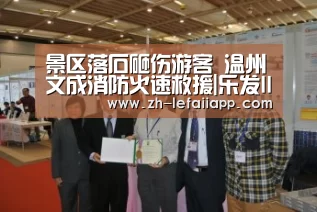 景区落石砸伤游客 温州文成消防火速救援|乐发IIapp(图1) 乐发IIapp