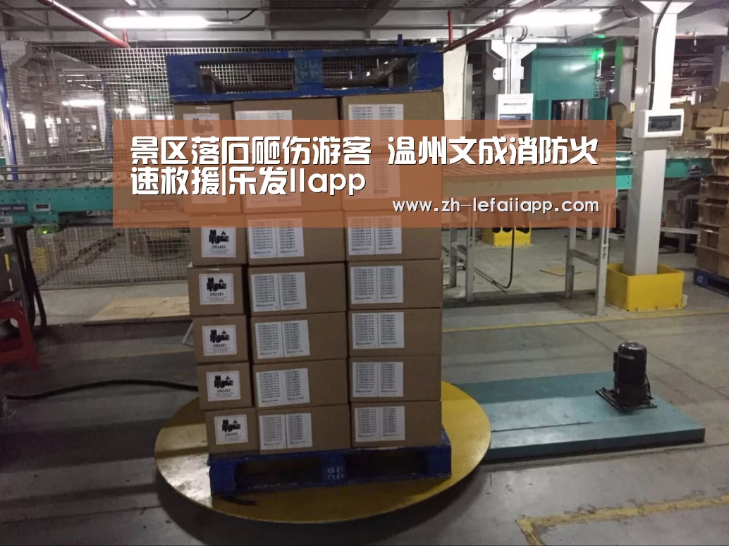 景区落石砸伤游客 温州文成消防火速救援|乐发IIapp(图3) 乐发IIapp