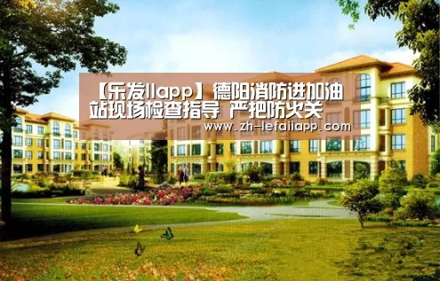 【乐发IIapp】德阳消防进加油站现场检查指导 严把防火关(图2) 乐发IIapp