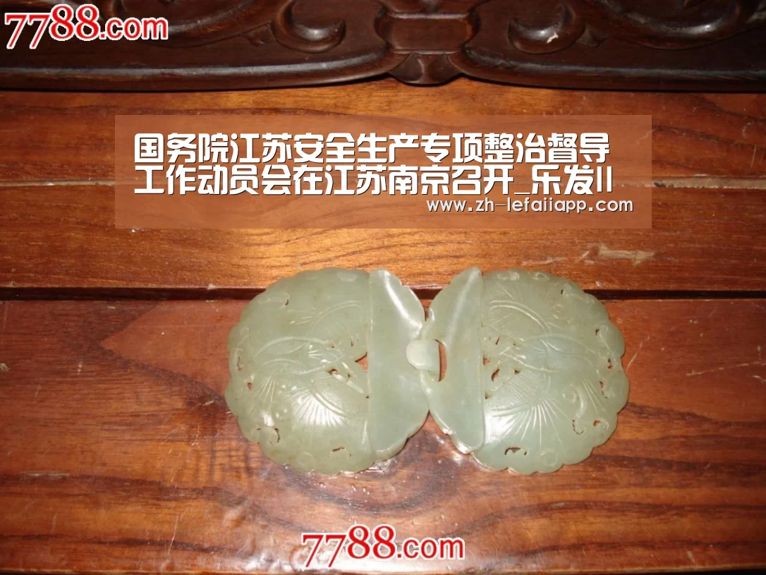 国务院江苏安全生产专项整治督导工作动员会在江苏南京召开_乐发IIapp(图1) 乐发IIapp
