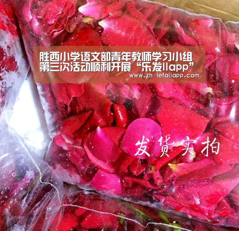 乐发IIapp