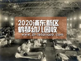 2020浦东新区鹤琴幼儿园收费【乐发IIapp】